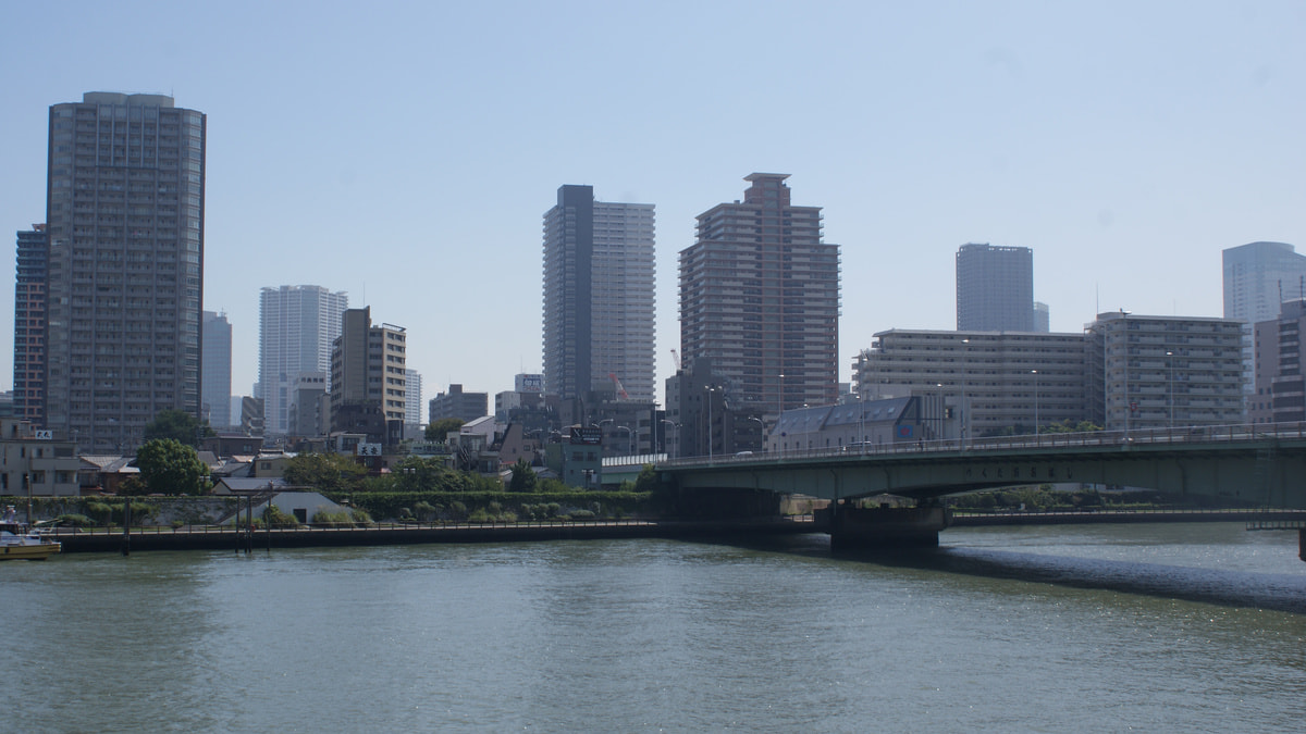 dsc08964.jpg